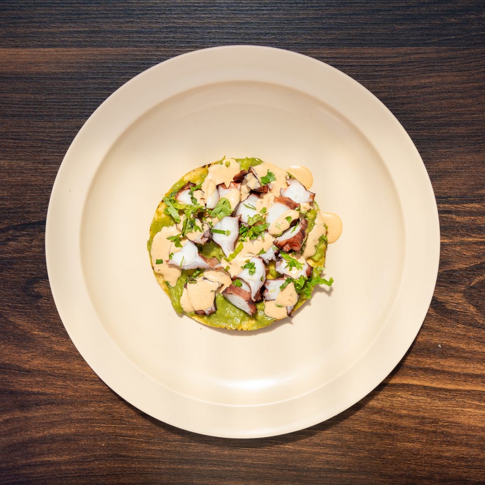 Grilled octopus slices over mashed avocado, drizzled with creamy sauce and garnished with cilantro on a white plate.